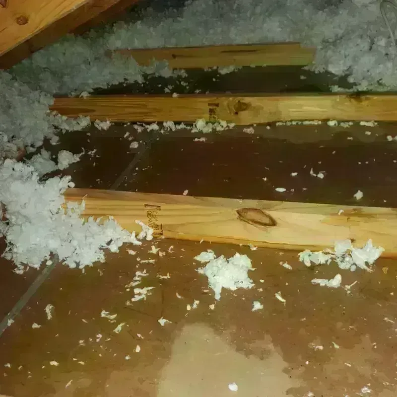 Attic Water Damage in Dunn County, WI