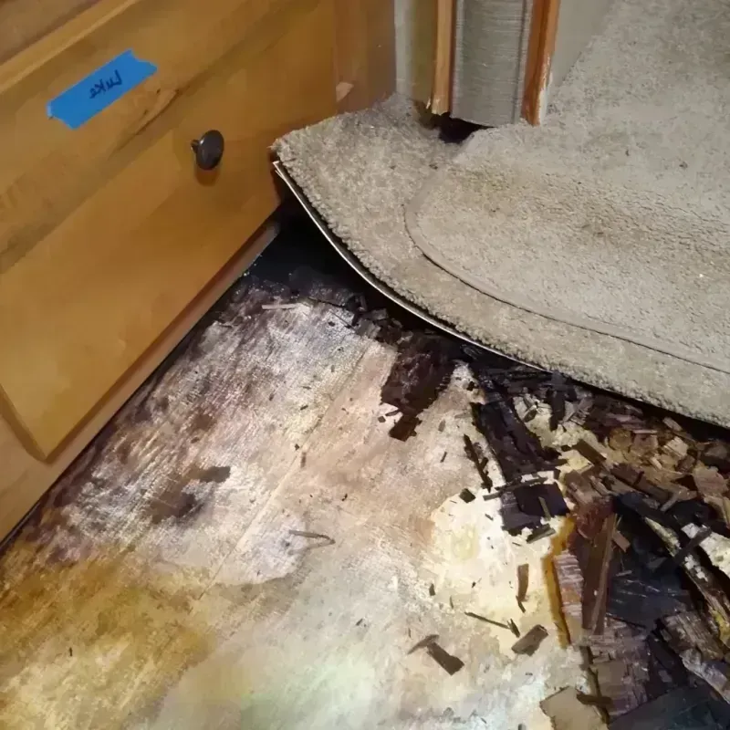 Wood Floor Water Damage in Dunn County, WI